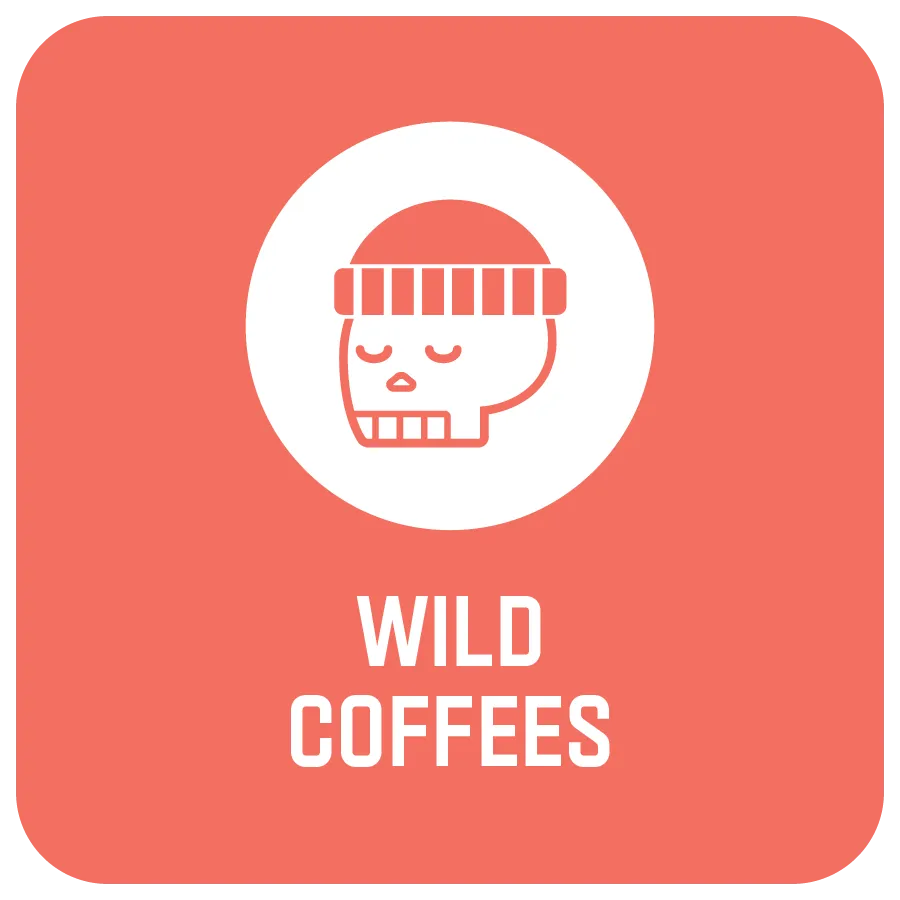 COFFEES - WILD