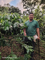 La Lupita  – Honduras