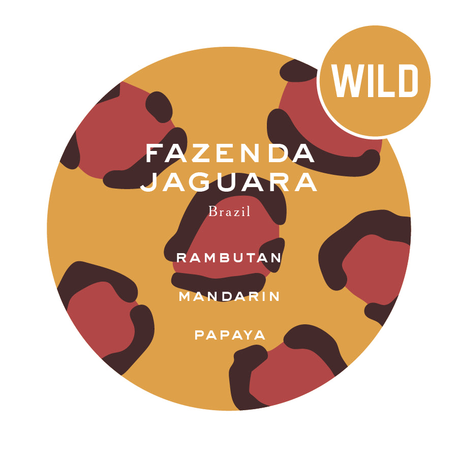 Fazenda Jaguara – Brazil
