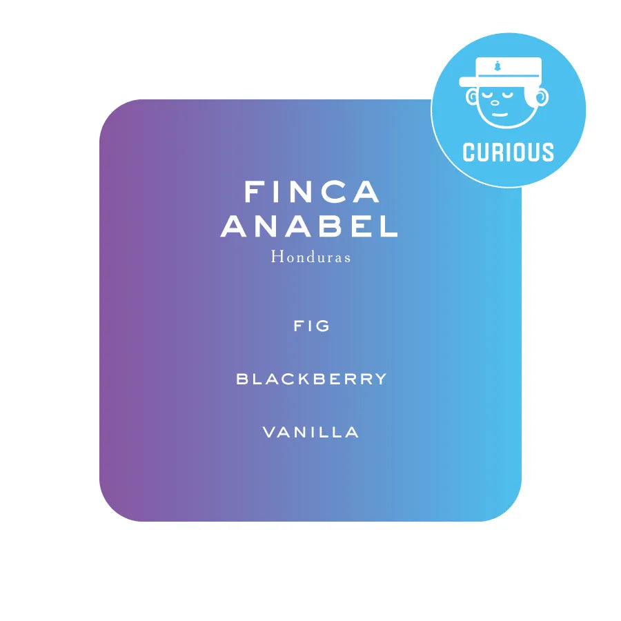 Finca Anabel – Honduras