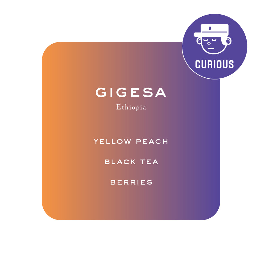 Gigesa – Ethiopia