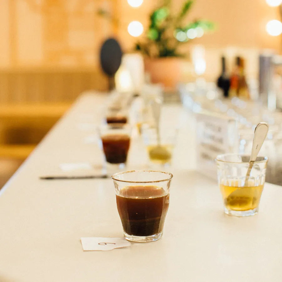Timbertrain Cupping Class